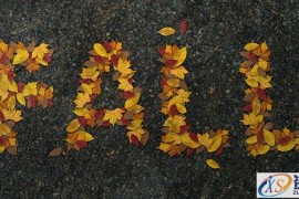 PS新手教程！手把手教你绘制萧瑟的秋天落叶字效(图文教程)