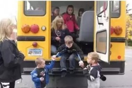 美国校车为何那么安全（图文教程）