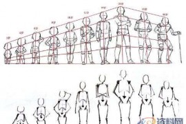 ZBrush人体比例及肌肉骨骼介绍