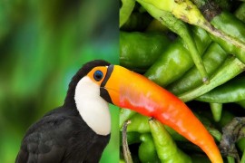 这些PS大神的设计的创意图片，你最佩服哪一张？这些PS大神的设计的创意图片，你最佩服哪一张？