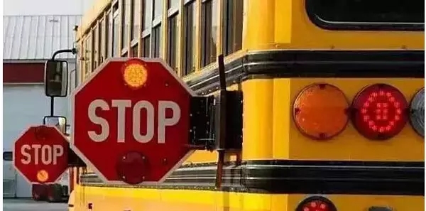 美国校车为何那么安全（图文教程）,美国校车为何那么安全,图文,第3张