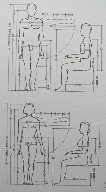 人体工程学基础-3、人体测量与人体尺寸(图文教程),P4200040,尺寸,第4张