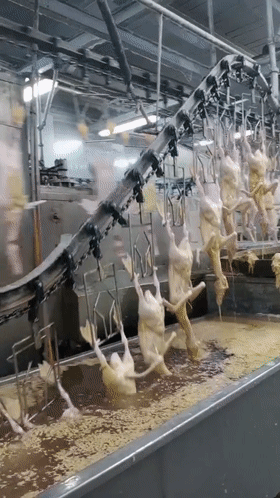 马桶堵了如何吸出来？34个机械原理、设计动画来了1、马桶疏通器原理：2、高频变压器绕组自动化生产：3、伺服电缸高负载、大推力、高精度、易维护，应用广泛：4、小型土豆收获机：5、郎酒瓶子制作工艺：6、陶瓷杯自动化生产：7、液压奶酪切割机：8、自动化摊煎饼：9、蔬菜丸子制作过程：10、自动化包子机：11、万能清扫器：12、快速部署战场铁丝网防御线：13、手持式自动螺丝机：14、自由弯管机：15、滚动式捡果器：16、铜管折弯过程，谁知道为什么不瘪：17、自动化攻丝机：18、45度管接头滚牙：19、食品,马桶堵了如何吸出来？34个机械原理、设计动画来了，直观易懂,第19张