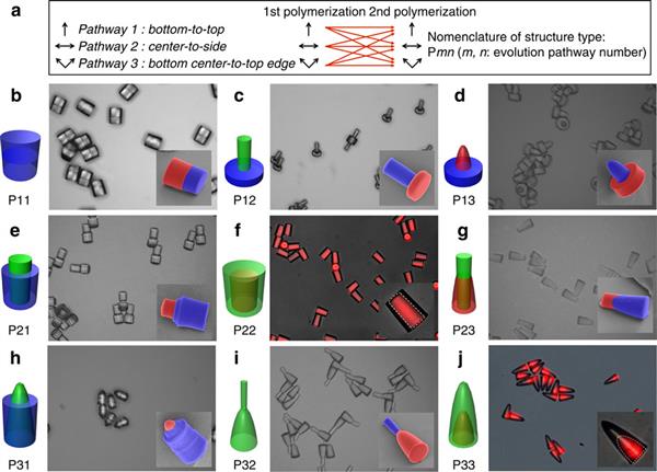 新型光刻技术使用氧气做抑制剂3D打印微型结构（图文教程）,新型光刻技术使用氧气做抑制剂3D打印微型结构,第3张