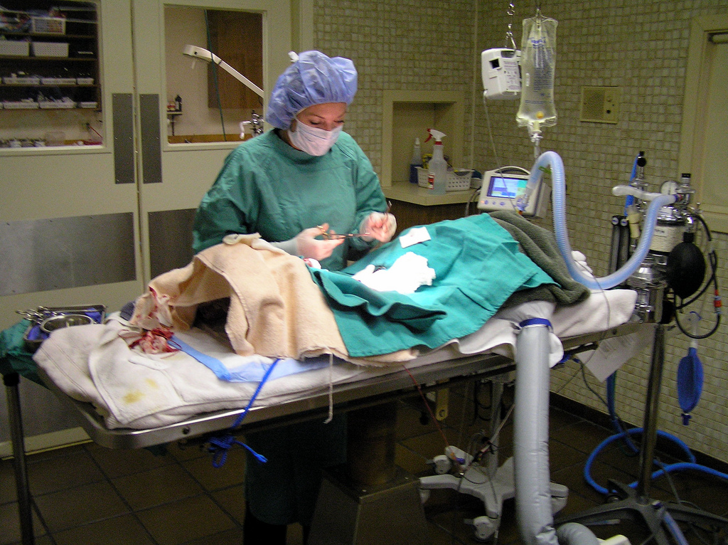 3D打印改变世界的几种方式（图文教程）,3D打印改变世界的几种方式,方式,打印,教程,第2张