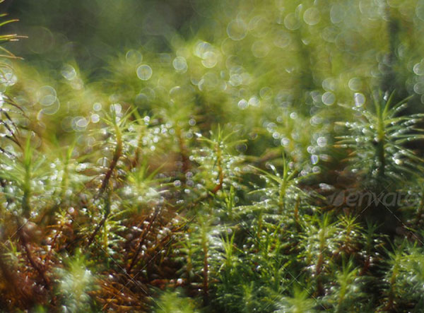 PS合成蜗牛背上的梦幻房子教程(图文教程),PS合成蜗牛背上的梦幻房子教程,选择,直径,形状,第9张