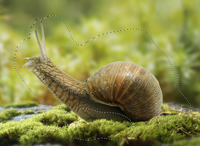 PS合成蜗牛背上的梦幻房子教程(图文教程),PS合成蜗牛背上的梦幻房子教程,选择,直径,形状,第19张