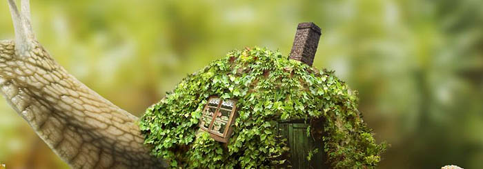 PS合成蜗牛背上的梦幻房子教程(图文教程),PS合成蜗牛背上的梦幻房子教程,选择,直径,形状,第55张