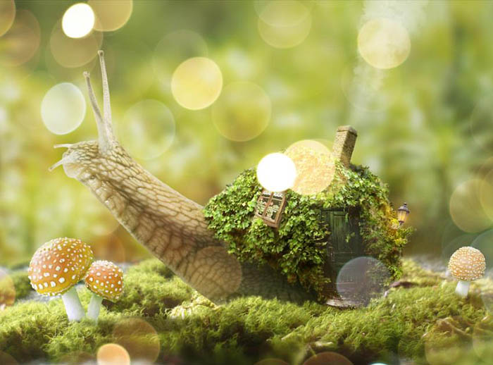 PS合成蜗牛背上的梦幻房子教程(图文教程),PS合成蜗牛背上的梦幻房子教程,选择,直径,形状,第72张