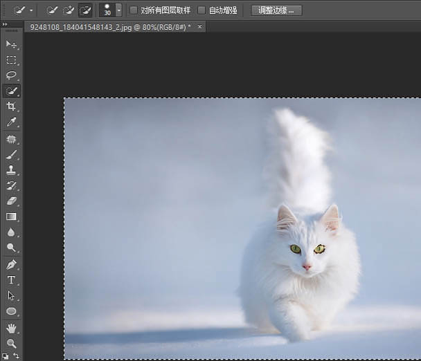 PS利用快速蒙版及调整边缘快速抠出白猫教程(图文教程),PS利用快速蒙版及调整边缘快速抠出白猫教程,选择,这个,半径,第4张