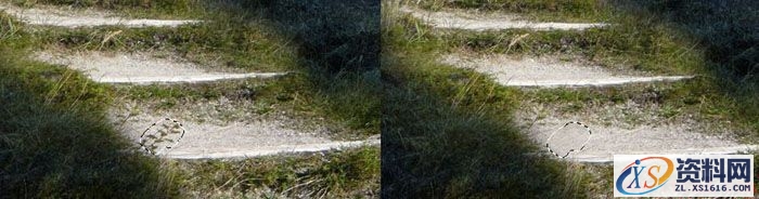 PS合成小孩走入奇幻森林场景教程(图文教程),PS合成小孩走入奇幻森林场景教程,设计,一般,选择,第7张