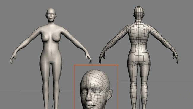 用3dsMax打造欧洲美女(图文教程),用3dsMax打造欧洲美女,结构,用于,选择,第2张