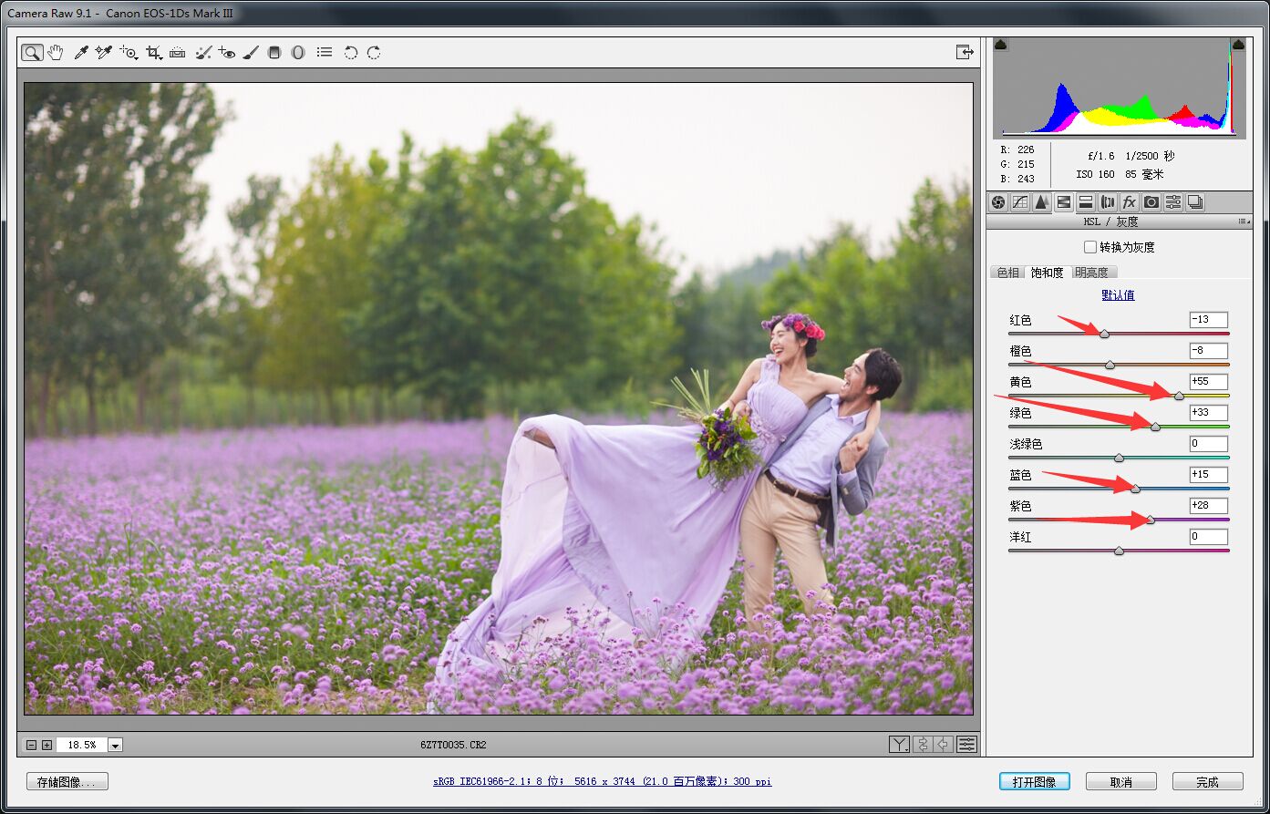 PS婚片后期——外景花海薰衣草(图文教程),PS婚片后期——外景花海薰衣草,用于,这个,什么,第6张