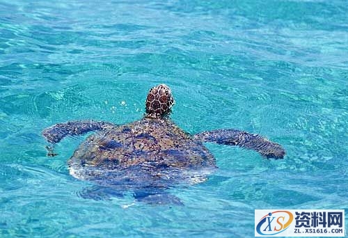 光线理论-自然光(图文教程),光线理论-自然光,结构,一般,这个,第5张