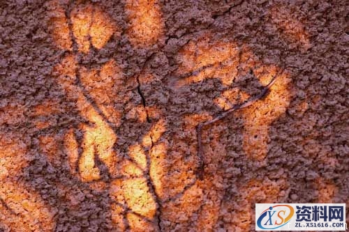 光线理论-自然光(图文教程),光线理论-自然光,结构,一般,这个,第12张